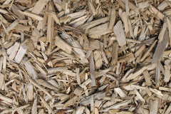 biomass boilers Druimindarroch